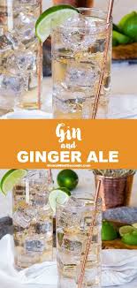 Gin And Ginger Ale Recipe Ginger Ale Ginger Ale Cocktail Ginger Ale Recipe