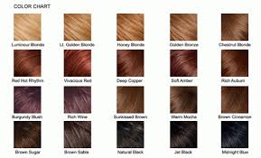 Human hair blend lace wigs. Brunette Hair Color Chart Hair Color Chart Brown Hair Color Chart Pravana Hair Color