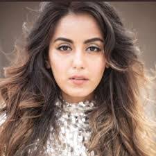 Safa Mukadam's Instagram, Twitter & Facebook