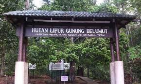 Pusat membeli belah ini menempatkan pelbagai premis menjual pakaian, aksesori, restoran, serta pusat hiburan. 15 Tempat Menarik Di Kluang Johor Sesuai Bersantai Dan Bersiar Siar Ammboi