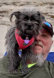 Kosciusko County Indiana local dog rescue group