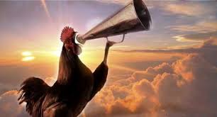 Dan sama sekali tidak ada kaitannya dengan kehadiran mahluk halus disekitar itu sebabnya ilmuwan mengatakan bila ayam berkokok pada tengah malam, maka itu menandakan keesokan hari cuaca akan cerah. Pernah Dengar Ayam Jantan Berkokok Tengah Malam Maka Bangunlah Ini Kata Rasulullah