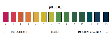 Ph Scale Litmus Paper Color Chart Google Search Color Chart Ph Chart Skin Problems