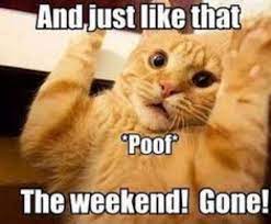 Hugedomains Com Funny Monday Memes Monday Humor Monday Humor Quotes