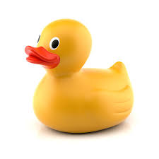 Toy Rubber Duck In 2020 Rubber Duck Duck Drawing Duck