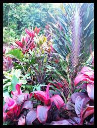 Pin On Tropical Scapes