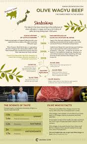 Olive Wagyu Legendary Olive Fed Wagyu Beef From Olive Wagyu On Crowd Cow Wagyu Beef Wagyu Beef