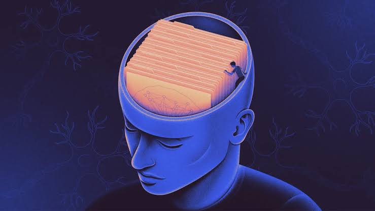How Human Memory Works: From Short-Term Recall to Long-Term Storage