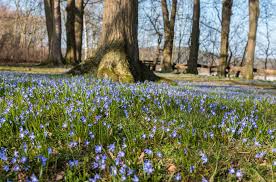 Скачать минус песни «ich will» 320kbps. Herz Jesu Institut Serviam Warburg Germete Klosterlandschaft Owl