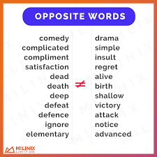 1 to fail to give proper attention to. Uzivatel Milinix English Grammar Toefl Ielts Na Twitteru Opposite Words Comedy Drama Complicated Simple Compliment Insult Satisfaction Regret Dead Alive Death Birth Deep