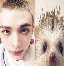 Alyssa Parton's Instagram, Twitter & Facebook