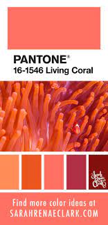 Pin On Trendy Color Palettes