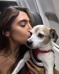 Renee Taglia Hair Color