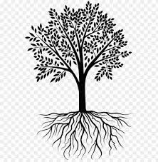 Clipart Transparent Clip Art Clipart Transprent Png Transparent Tree With Roots Png Image With Transparent Background Toppng Christmas tree vector tree icon christmas tree clip art christmas tree clipart cherry blossom tree banana tree. clipart transparent clip art clipart