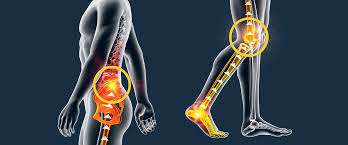 In this video, i explain important anatomy of knee joint. That Pain In Your Knees And Lower Back Could Be Linked To Your Feet And Poor Foot Support Dr Scholl S