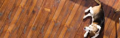 Maybe you would like to learn more about one of these? Austin Flooring Flooring Warehouse