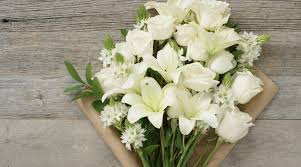 Maybe you would like to learn more about one of these? Popular Flowers To Express Sympathy Bouqs Blog