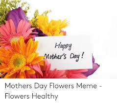Thank you with flowers meme. 25 Best Memes About Birthday Meme Flowers Birthday Meme Flowers Memes