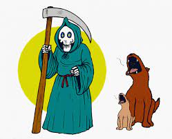 Can Dogs Sense When Someone Is About To Die Psychology Today