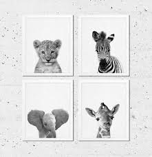 Baby Black And White Lion Pictures Safari Animals Nursery Decor Animals Print Set Of 4 Baby Lion Elephant Giraffe Zebra African Animals Black White Modern Printable Art Edson S Room Nurs
