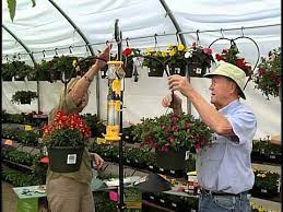 Shepherd S Hooks For Bird Feeders And Flowers Youtube