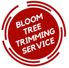 Get quotes and book instantly. Bloom Tree Trimming In Stockton Ca Tree Service Call 209 285 2326