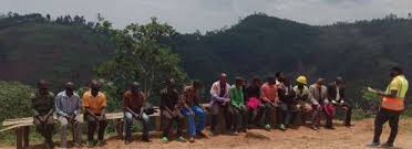 Image result for isolona lebrunii