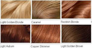 Copper Brown Hair Color Chart Find Your Perfect Hair Style