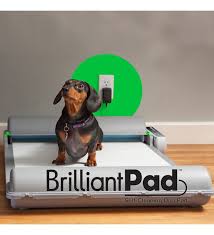 Brilliantpad Otomatik Kopek Tuvaleti
