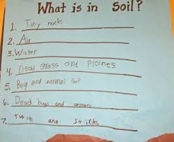 These parts of speech anchor charts are a must have for any teacher who wants their students to fully understand how to use the 8 parts of speech. Rock And Roll A Kindergarten Science Unit On Rocks And Soil Kindergarten Kindergarten