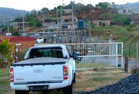 Image result for Dichilus reflexus