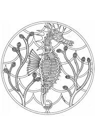 Malvorlage Seepferdchen Mandala Kleurplaten