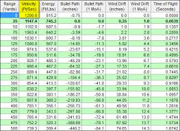 Free Recoil Chart 300 Mag Ballistic Chart Muzzle Energy