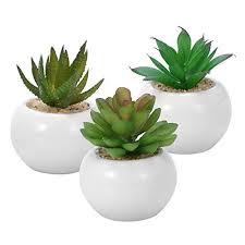 Winomo 3pcs Succulentes Artificielles Decoratives Mini Pot De Fausses Plantes Avec Des Pots Blancs En 2020 Fausse Plante Fleurs Artificielles Plantes Artificielles