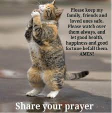 Discover and share funny friendship quotes with cats. Cute Cat Quotes Sayings Positive Quotes