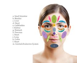 Cogent Reflexology Of The Face Chart Reflexology