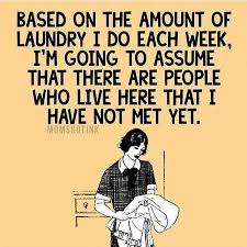 41 Laundry Funnies Ideas Bones Funny Laundry Humor Funny Quotes