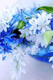Maybe you would like to learn more about one of these? Beautiful Birds Flowers Free Stock Photos Download 16 296 Free Stock Photos For Commercial Use Format Hd High Resolution Jpg Images Sort By Unpopular First