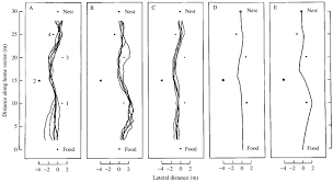 Maybe you would like to learn more about one of these? Homeward Trajectories Of Ants After Several Days Of Foraging At A Fixed Download Scientific Diagram