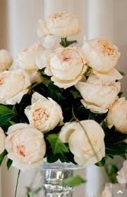This rose has all the chaterstics of elegance and style combined.due to its high demand, this rose is a favorite during the summer months. Classic Woman Please Share Your Knowledge About This Rose