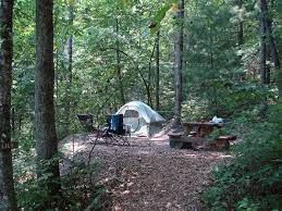 Secluded Tent Camping Tent Camping Camping In The Woods Outdoor Camping