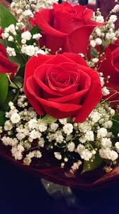 We have 2 florists with 3 reviews delivering in lanark. Trusted Florists In South Lanarkshire