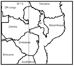 Image result for Carex cyrtosaccus