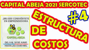 Maybe you would like to learn more about one of these? Capital Abeja Sercotec 2021 Como Postular A Sercotec 2021 Estructura De Costos Parte 4 Youtube