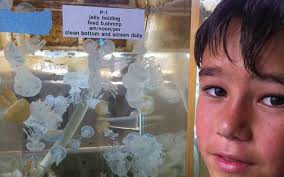 EDUCATION & CONSERVATION