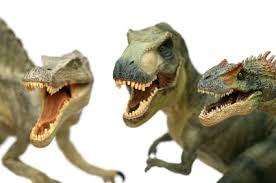 Disappearing The Wall Of No Scrappy Women In Business