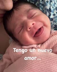 Juan Pablo Gamboa Cook