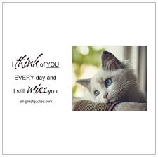 Whilst dogs and cats are the most popular pets it would be wrong to ignore all the other animals that touch our lives. 100 Beautiful Loss Of Pet Quotes Greeting Cards For Facebook