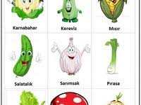 Asfa Da Eglenirken Ogrenin Besinlerin Sindirimi Klibi Youtube Teknoloji