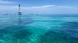The clear blue waters surrounding alligator reef lighthouse, which is home to more than 500 marine species, offers some of the best snorkeling in the florida keys. Alligator Reef Lighthouse Album On Imgur